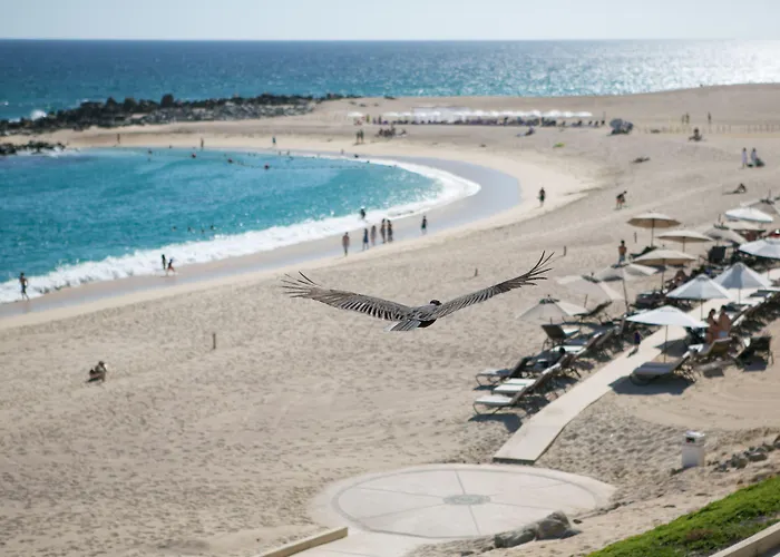 Hilton Cabos San Jose del Cabo